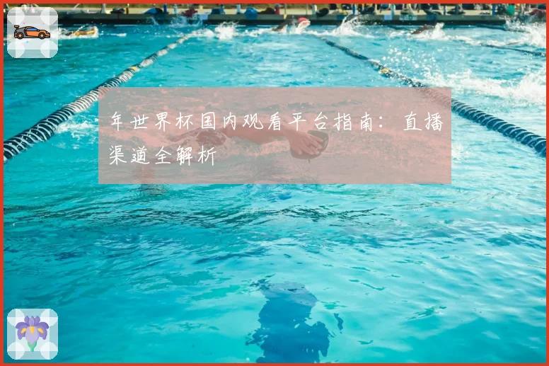 年世界杯国内观看平台指南：直播渠道全解析