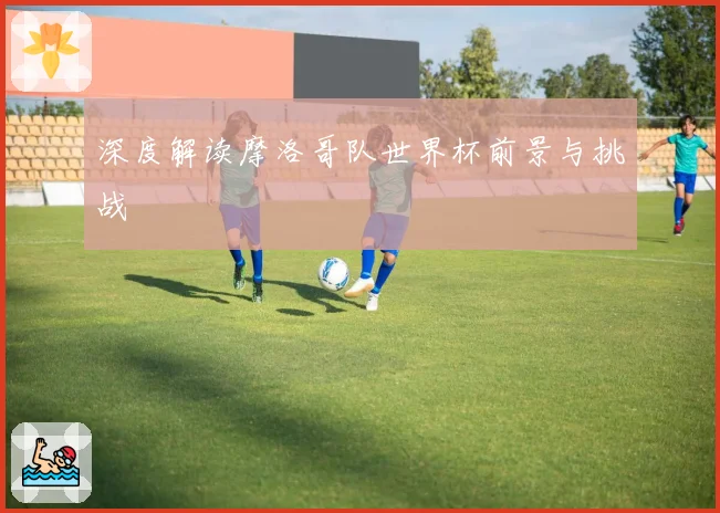 深度解读摩洛哥队世界杯前景与挑战