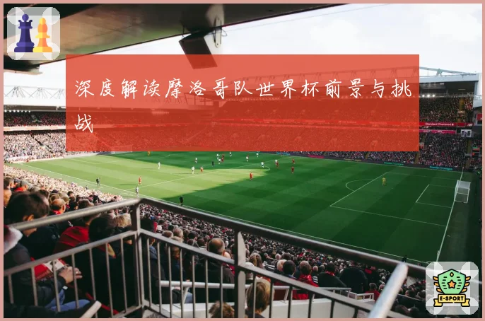 深度解读摩洛哥队世界杯前景与挑战