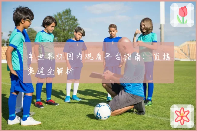年世界杯国内观看平台指南：直播渠道全解析